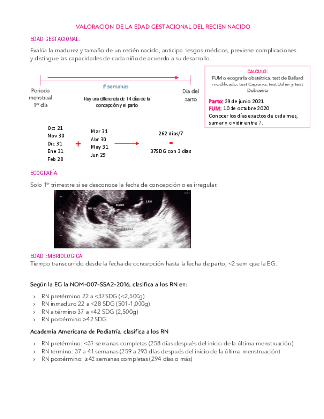 Miniatura del documento Valoracion-de-la-Edad-Gestacional.pdf