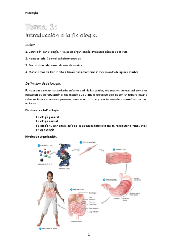 Miniatura del documento Fisiologia.pdf