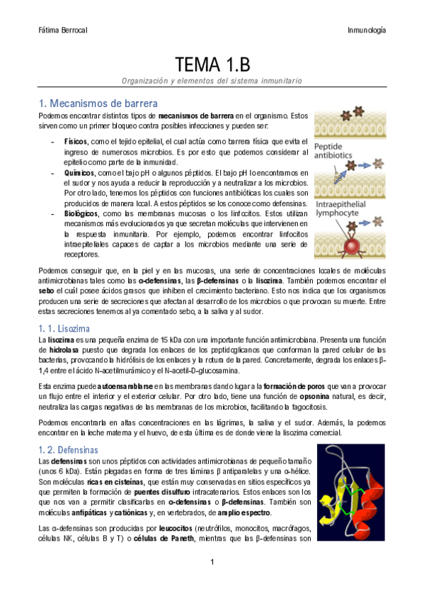 Miniatura del documento Tema-1.pdf