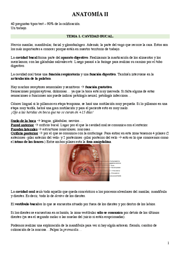 Miniatura del documento ANATOMIA-II-JUNTO.pdf
