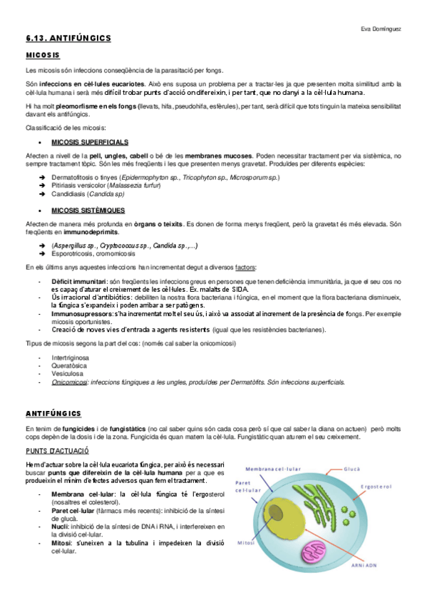 Miniatura del documento TEMA-6.pdf