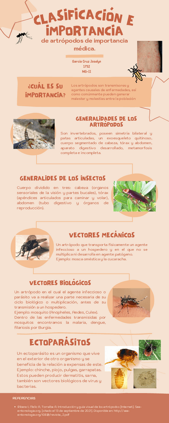 Miniatura del documento Garcia-Cruz-Joselyn-Organizador-grafico-semana-2.pdf