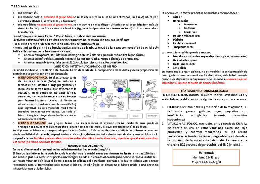Miniatura del documento T.pdf