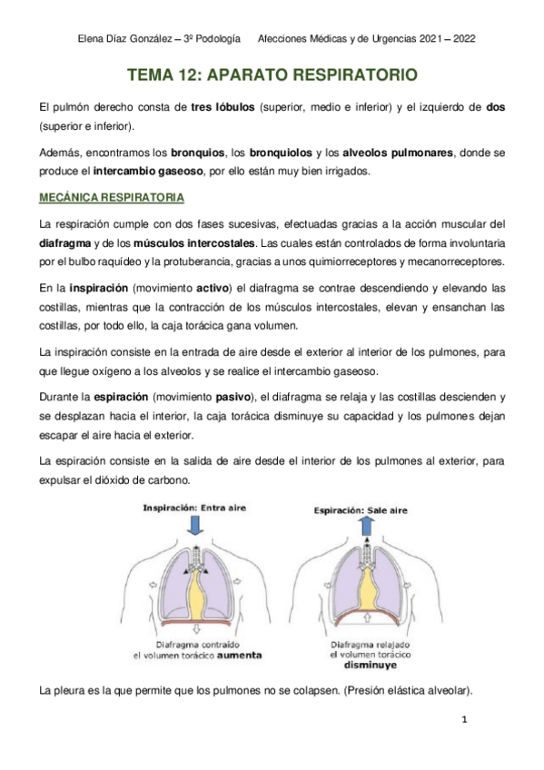 Miniatura del documento RESPIRATORIO.pdf