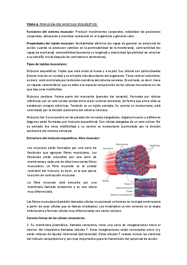 Miniatura del documento Tema-4.pdf