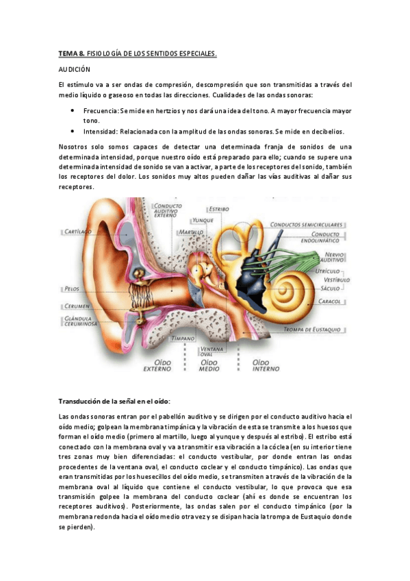Miniatura del documento Tema-8.pdf