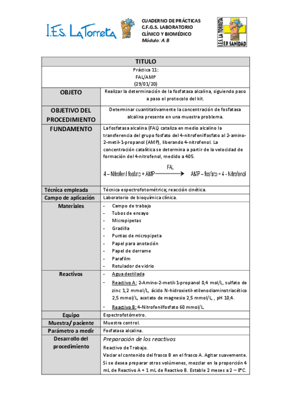 Miniatura del documento P11-FAL.pdf