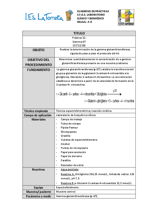 Miniatura del documento P12-Gamma-GT.pdf