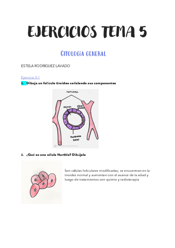 Miniatura del documento EJERCICIOS-TEMA-5-CITO-1.pdf