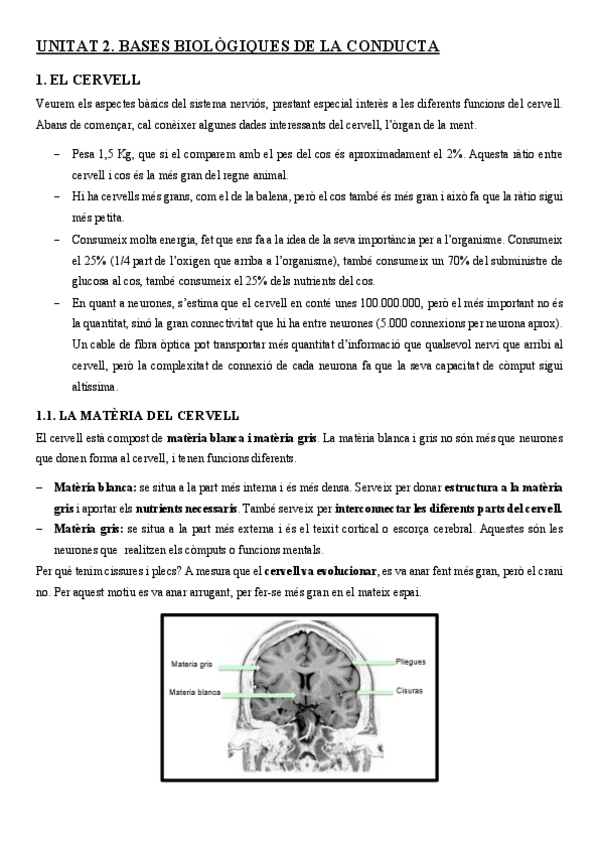 Miniatura del documento Unitat-2.pdf