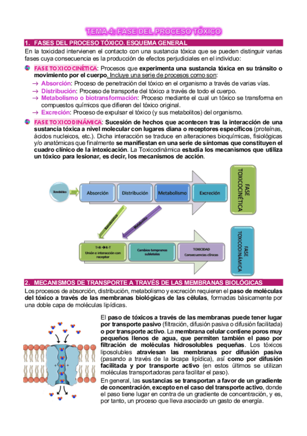 Miniatura del documento TEMA-4-TOXICOLOGIA.pdf