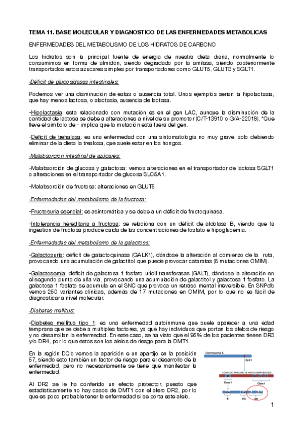 Miniatura del documento TEMA-11.pdf