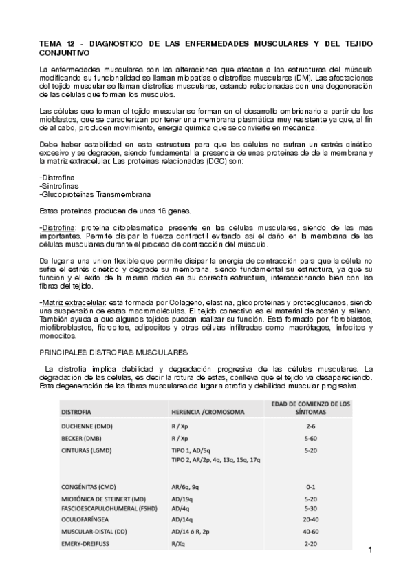 Miniatura del documento TEMA-12-DIAGNOSTICO-DE-LAS-ENFERMEDADES-MUSCULARES-Y-DEL-TEJIDO-CONJUNTIVO.pdf