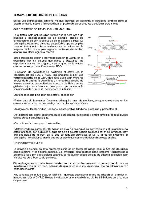 Miniatura del documento TEMA-21-ENFERMEDADES-INFECCIOSAS.pdf