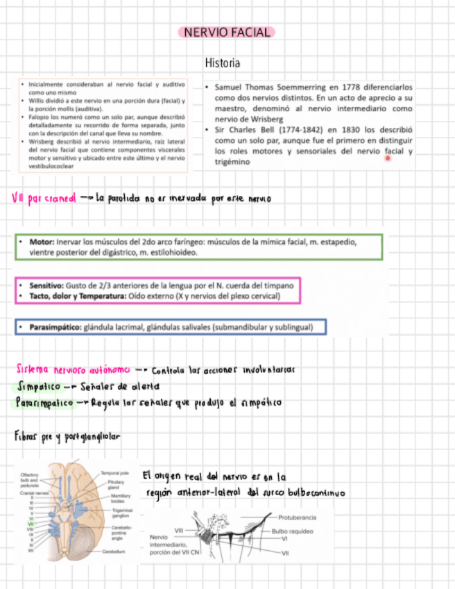 Miniatura del documento Nervio-facial.pdf