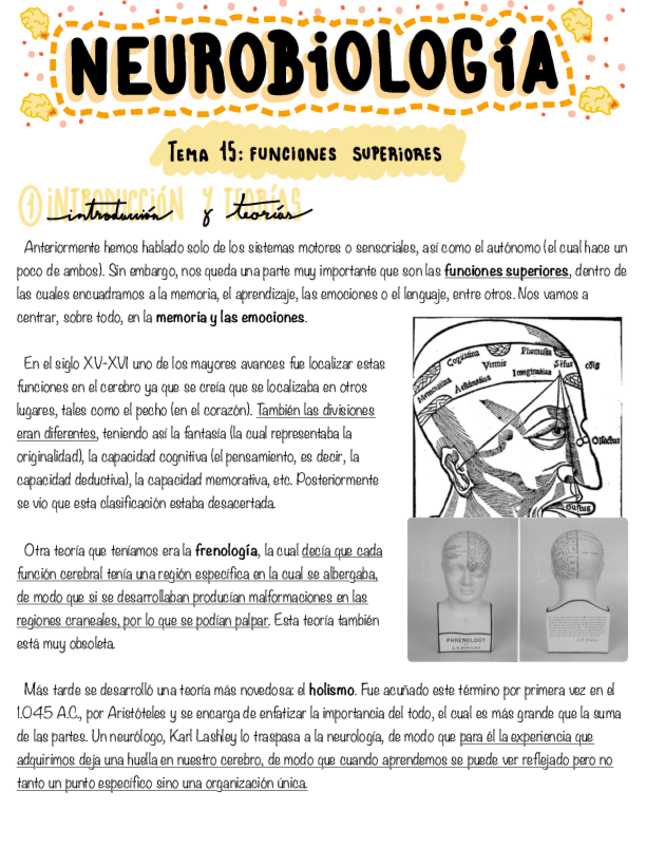 Miniatura del documento Tema-15-Funciones-superiores.pdf