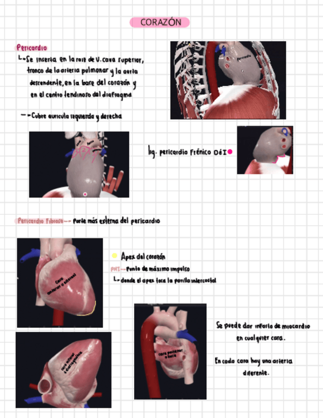 Miniatura del documento Corazon-.pdf
