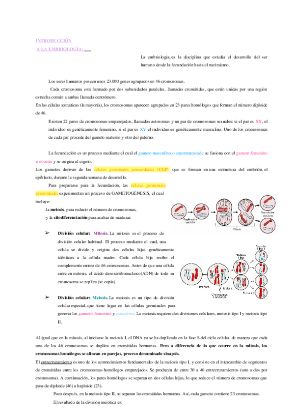 Miniatura del documento INTRODUCCION-EMBRIOLOGIA.docx