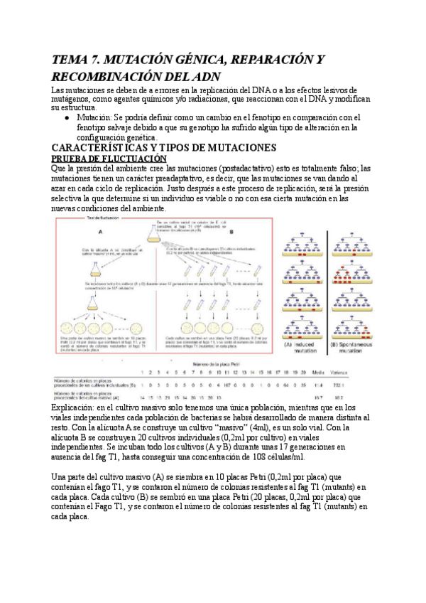 Miniatura del documento TEMA-7.pdf