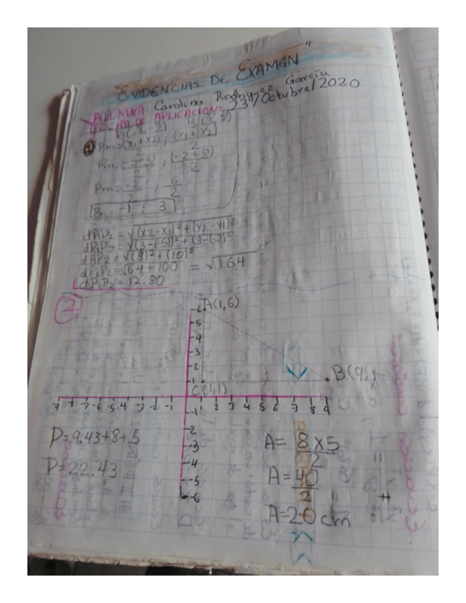 Miniatura del documento EVIDENCIAS-DE-EXAMENES-.pdf