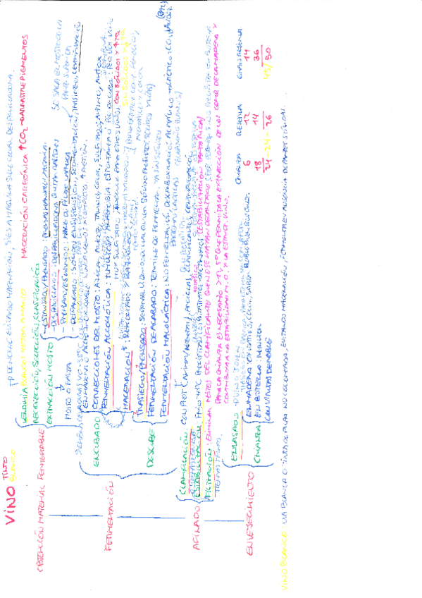 Miniatura del documento Diagrama de flujo vinos tinto y blanco.pdf