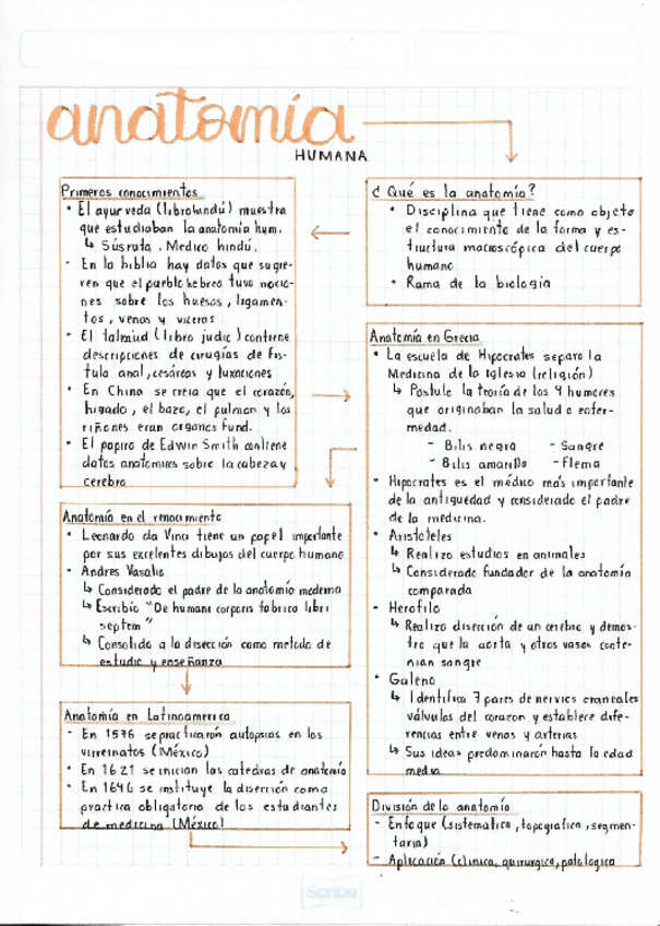 Miniatura del documento Historia-de-la-Anatomia-Humana.pdf