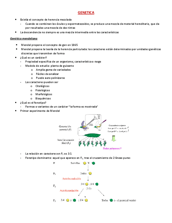 Miniatura del documento GENETICA.pdf