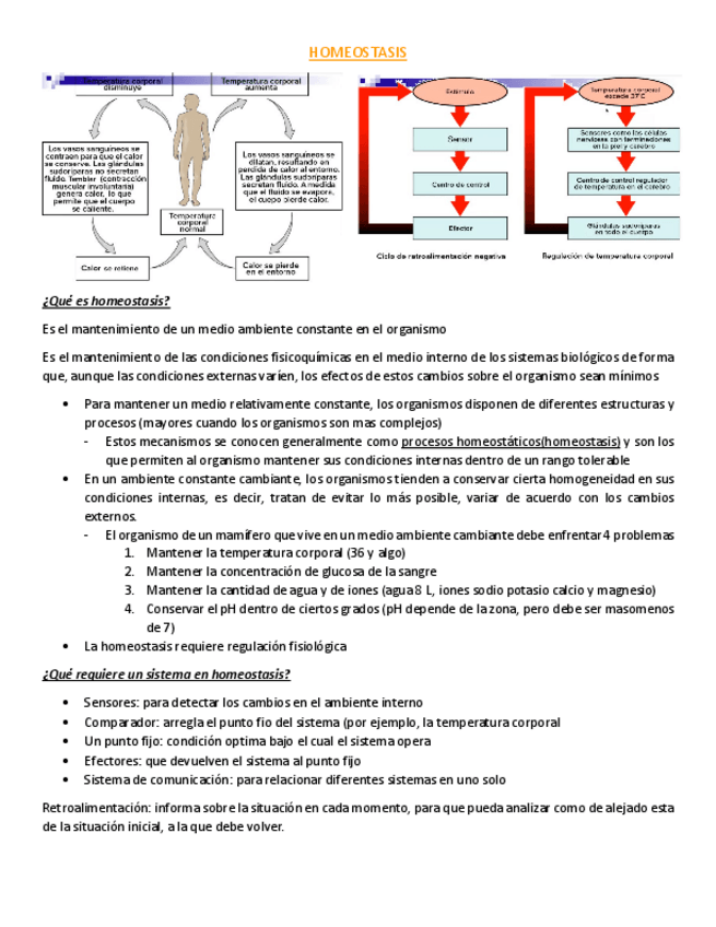 Miniatura del documento HOMEOSTASIS.pdf