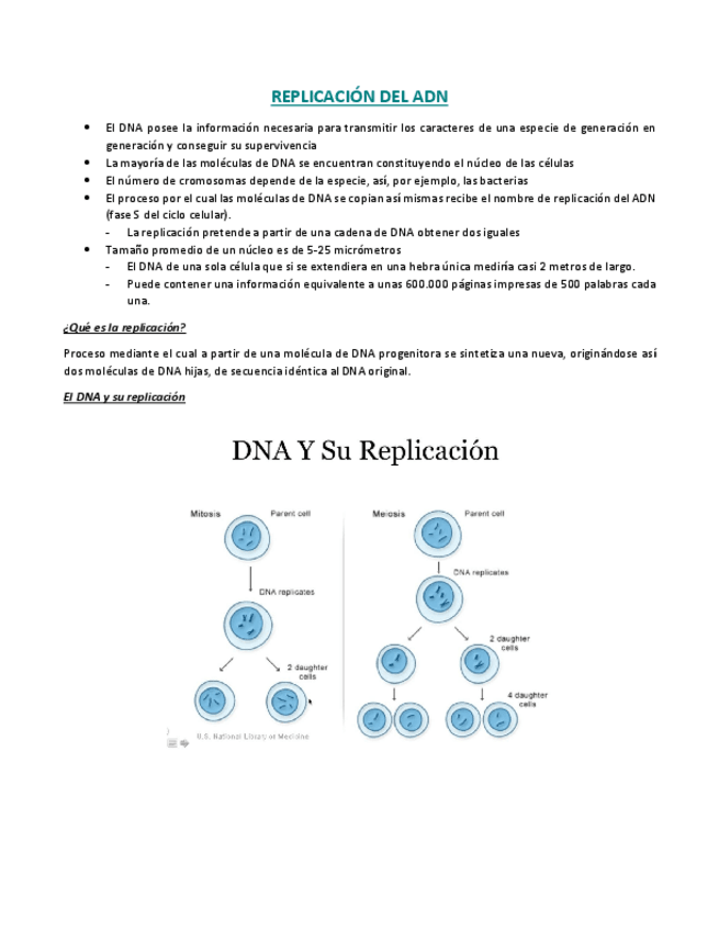 Miniatura del documento REPLICACION-DEL-ADN.pdf