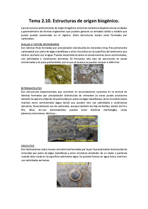 Miniatura del documento Tema-2.pdf