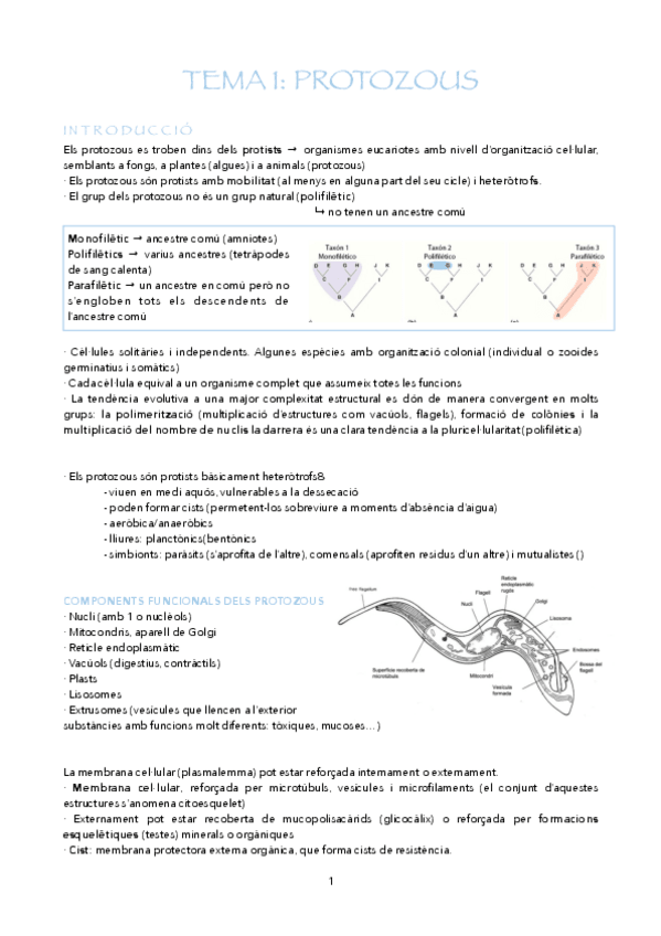 Miniatura del documento T1-T4.pdf