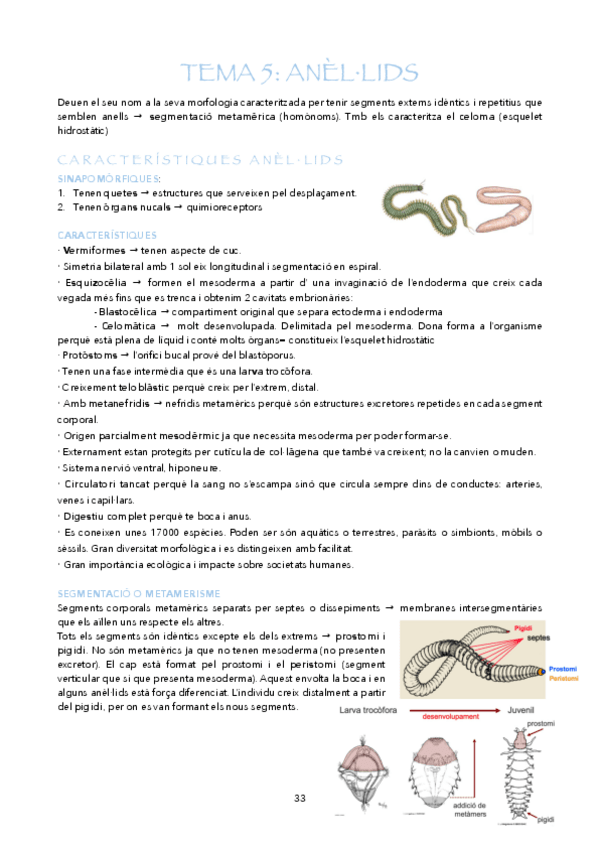 Miniatura del documento T5-T7.pdf