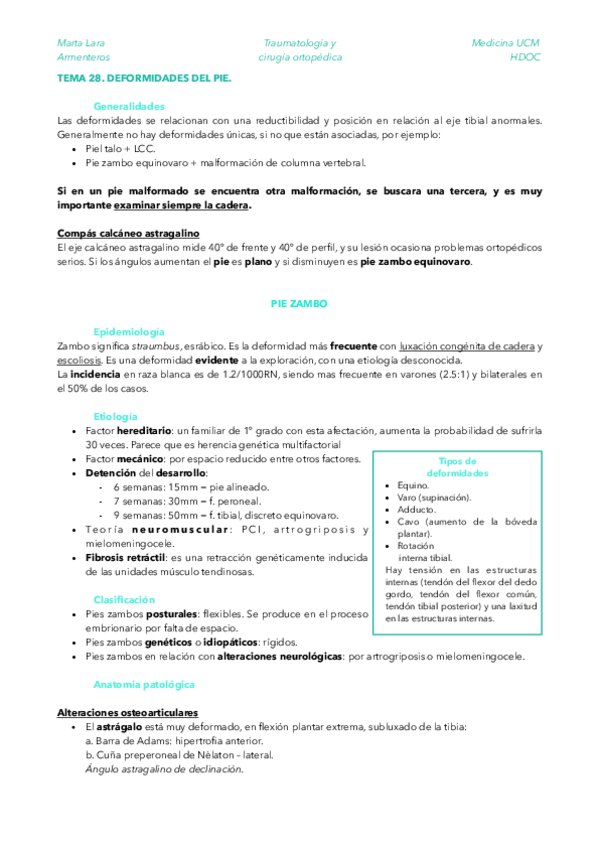 Miniatura del documento TRAU-TEMA-28.pdf