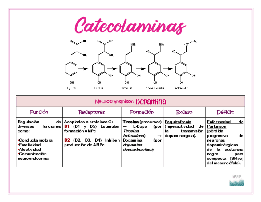 Miniatura del documento Catecolaminas.pdf