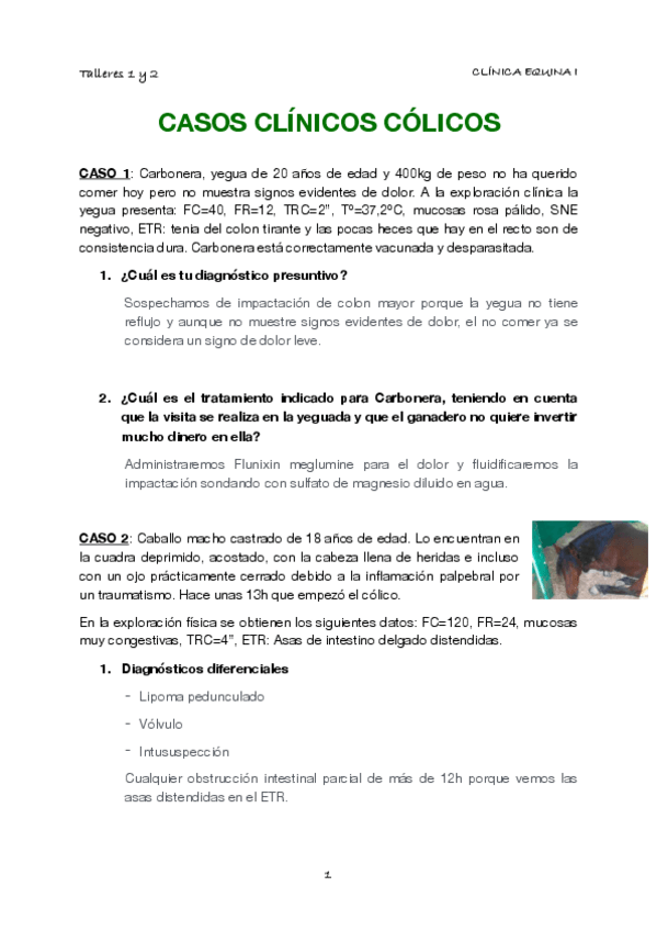 Miniatura del documento Talleres-Colicos.pdf
