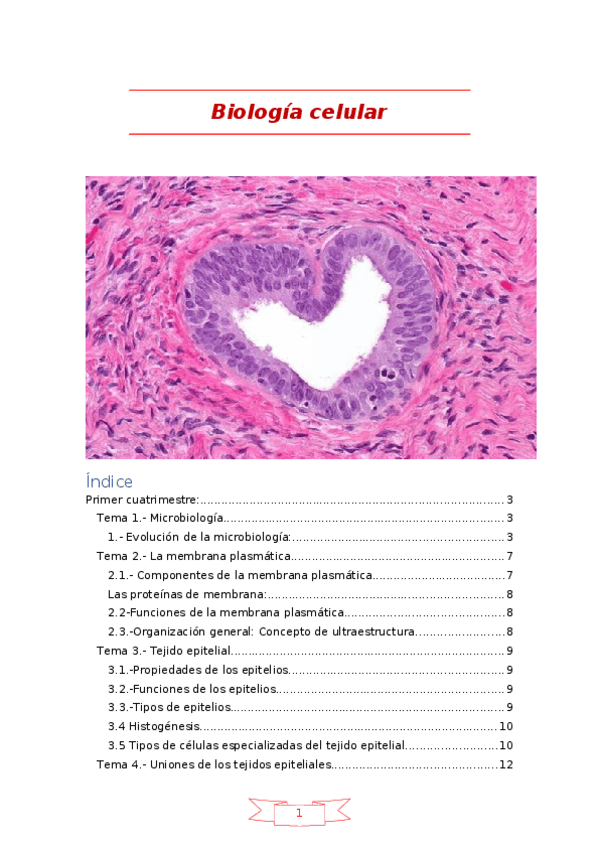 Miniatura del documento Teoria-biocell.docx