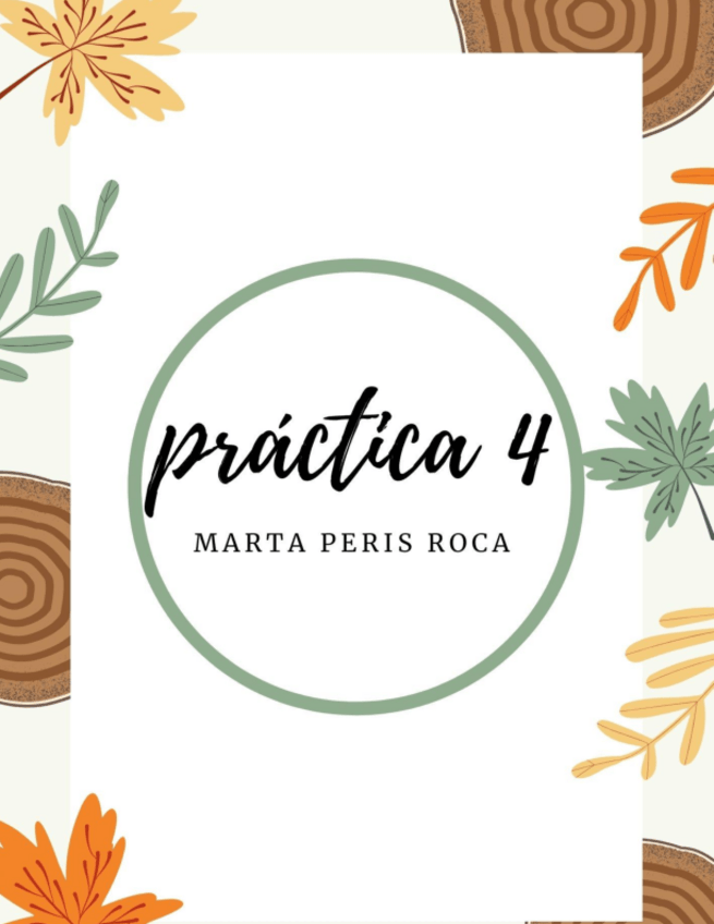 Miniatura del documento practica-4.pdf