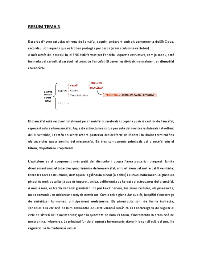 Miniatura del documento Resum-Tema-3.pdf