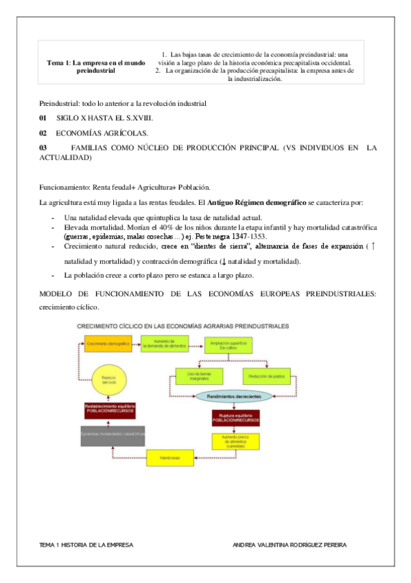 Miniatura del documento TEMA-1-HISTORIA-final.pdf