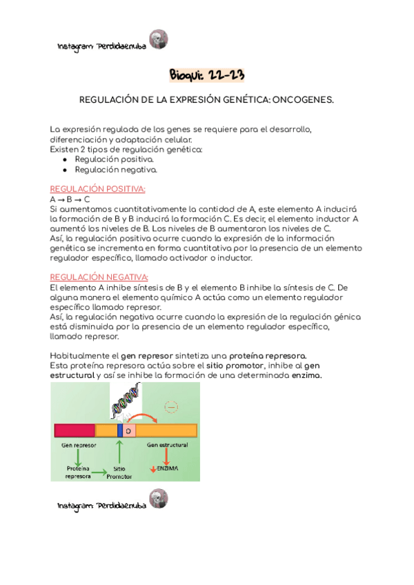 Miniatura del documento 22-23-Reg-Exp-Gen.pdf