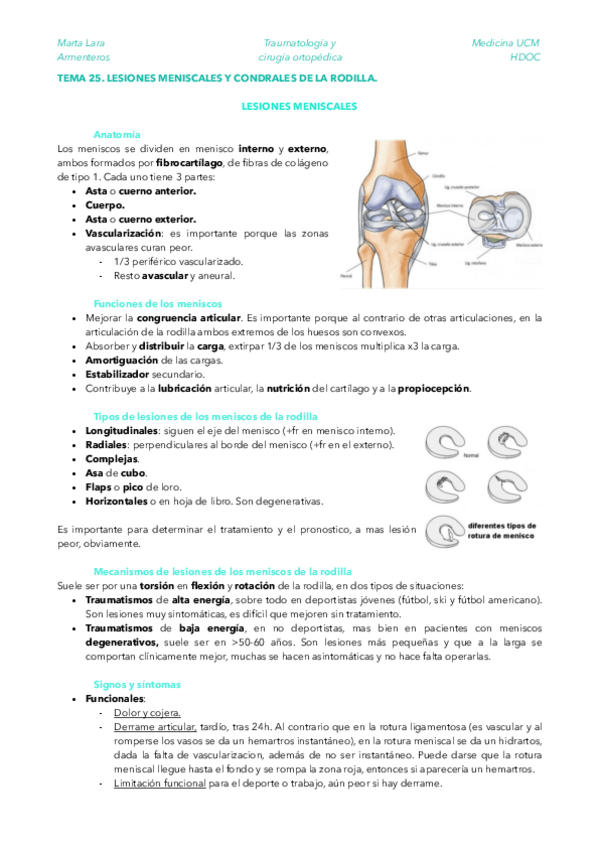 Miniatura del documento TRAU-TEMA-25.pdf