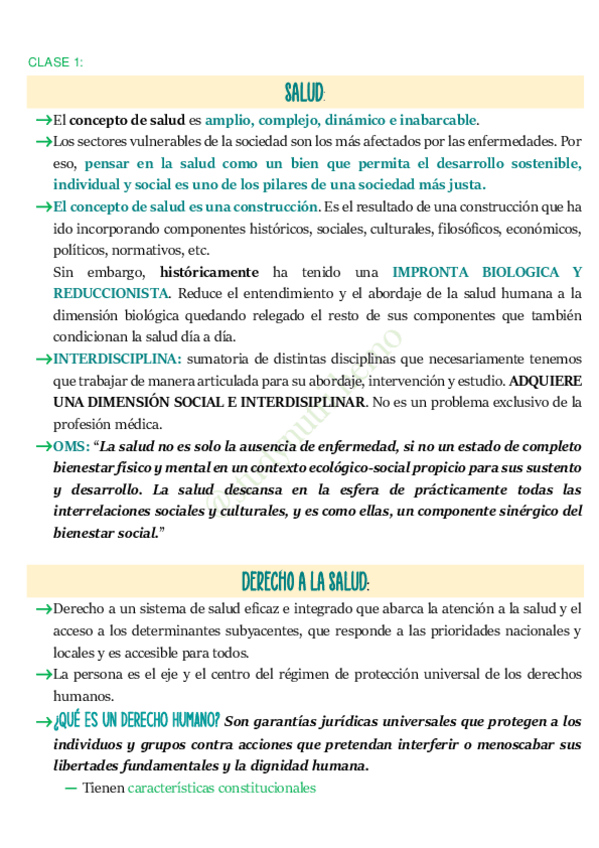 Miniatura del documento resumen-salud-FINAL.pdf