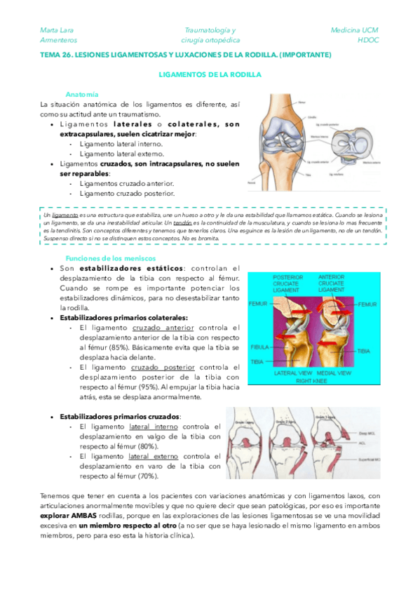 Miniatura del documento TRAU-TEMA-26.pdf