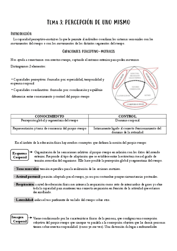 Miniatura del documento EDUCACION-FISICA-DE-BASE-APUNTES-TEMA-3.pdf