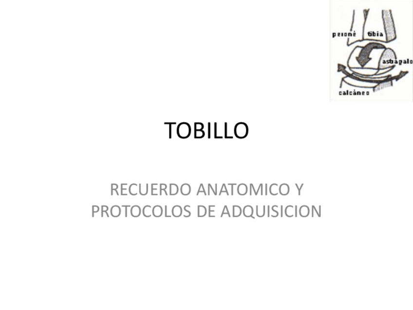 Miniatura del documento RM-TOBILLO.pdf