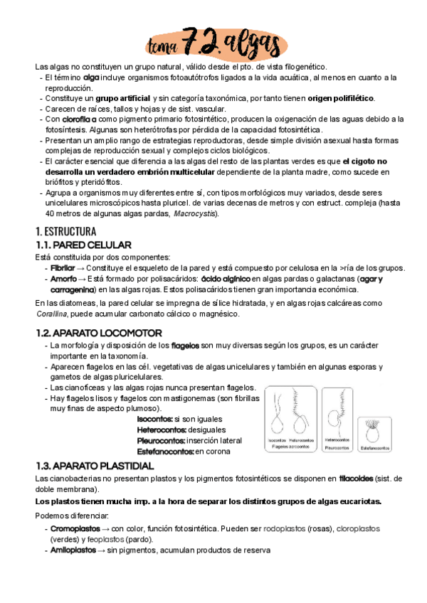 Miniatura del documento Tema-7-2.pdf