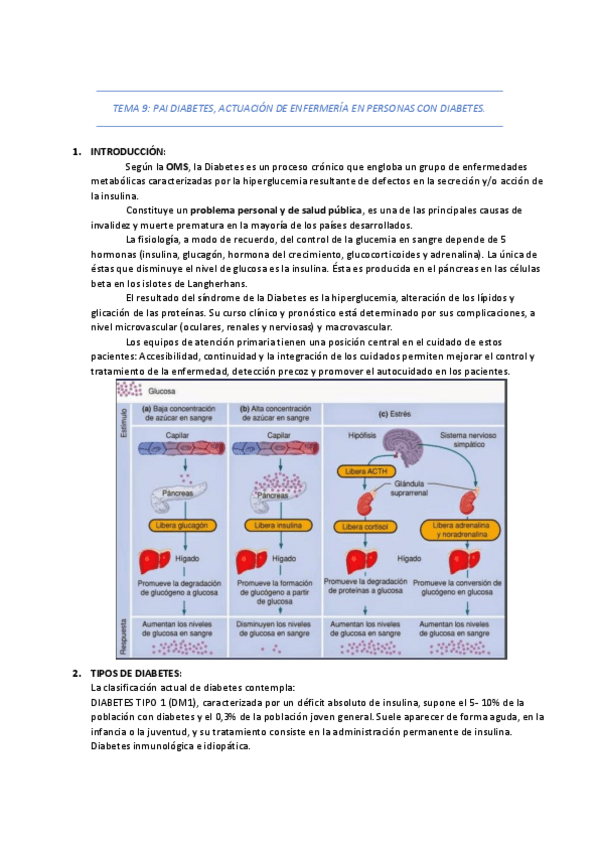 Miniatura del documento TEMA-9-2021.pdf