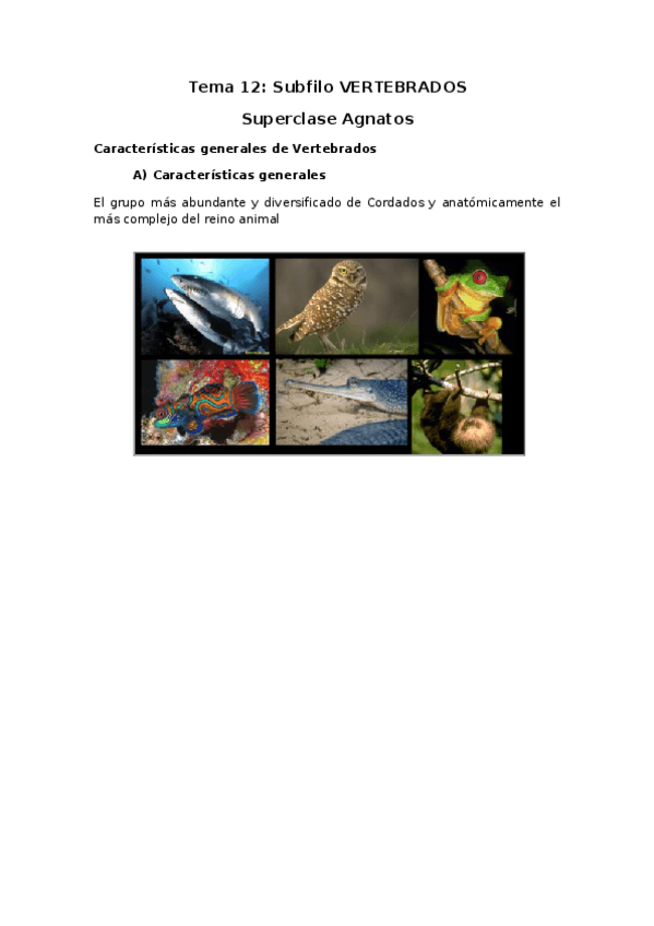 Miniatura del documento Tema-12-Subfilo-Vertebrados-Subclase-Agnatos.docx