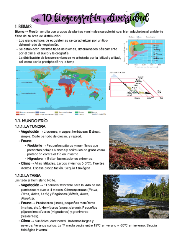 Miniatura del documento Tema-10.pdf