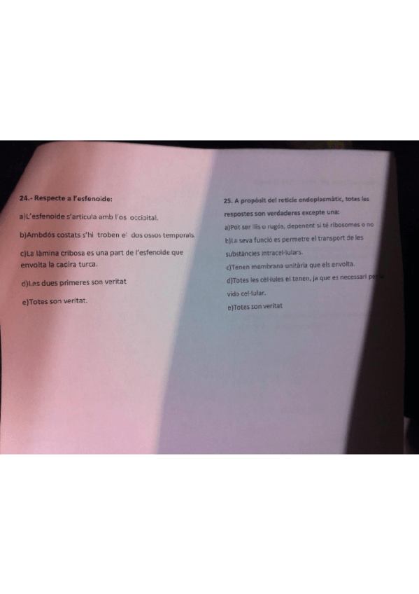 Miniatura del documento Anatomia.pdf